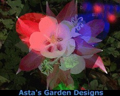 Garden colors, imagination, design tools and computers, whee!  You can see that Asta enjoys colors.