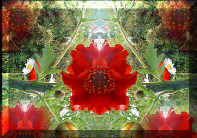 Created by Asta - Creative Customized Solutions - first digital photograph, then digital imaging to create something new.
