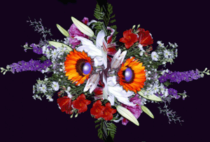 Creating new things from the garden with digital imaging and imagination is great fun.