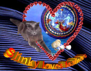 Slinky loves his feathered friends.  This was made from digital photo, cutout and paste into an old painting of mine and then lots of special effects using various types of software.  Asta - Creative Customized Solutions